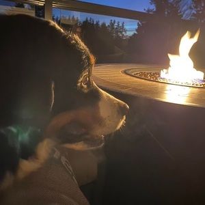 Meet your Posher, Matt